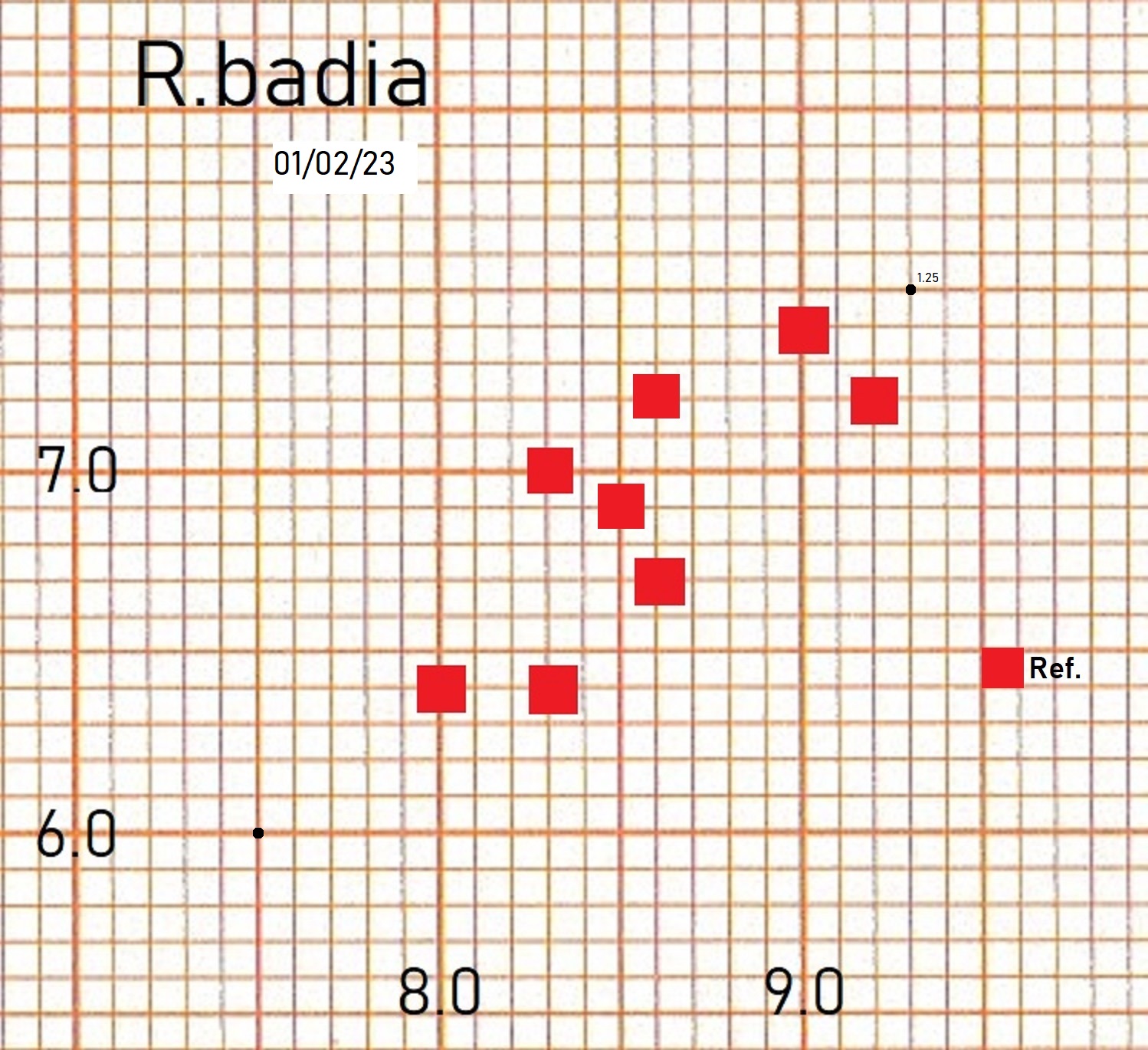R.badia dimensions sporales