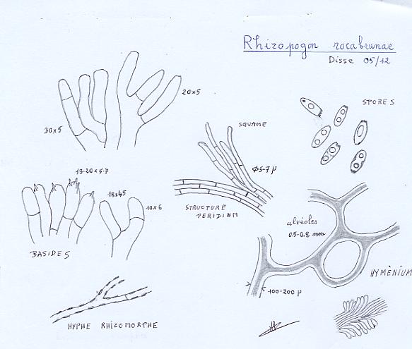 Récolte 2012 Disse Micro